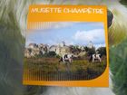 Musette champetre 